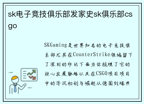 sk电子竞技俱乐部发家史sk俱乐部csgo