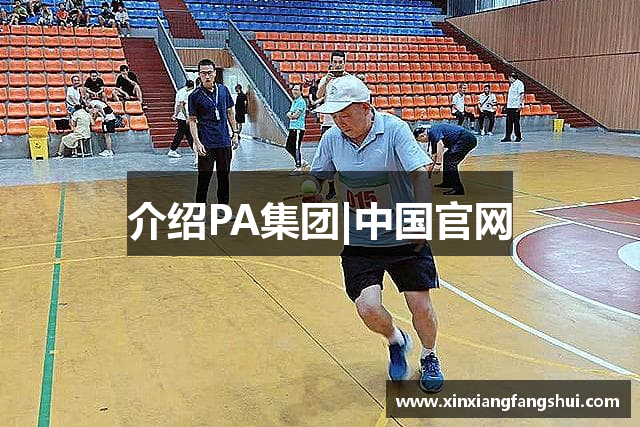 介绍PA集团|中国官网